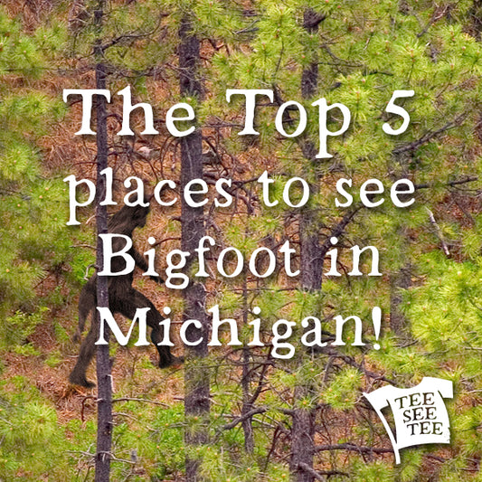 Top 5 Michigan Forests To Spot A Sasquatch