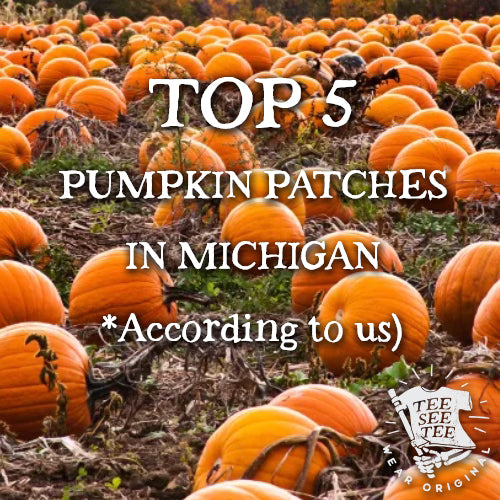 Top 5 Pumpkin Patches in Michigan(according to Tee See Tee)!